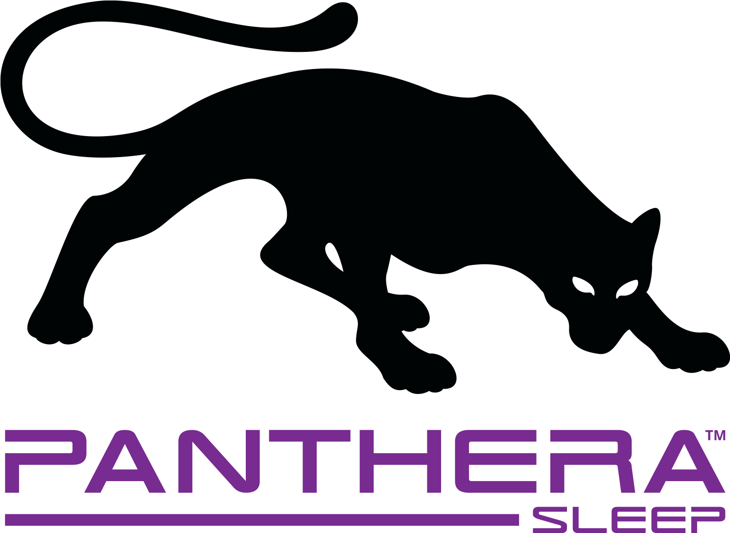 LOGO_PANTHERA_SLEEP (2)